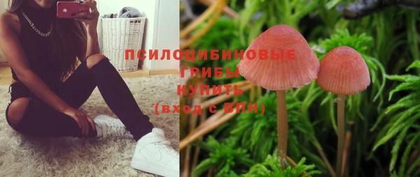 apvp Волосово